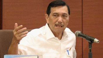 Luhut Sebut RS Penuh hingga Banyak Warga yang Belum Divaksin Jadi Faktor Menanjaknya Angka Kematian akibat COVID-19