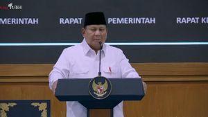 Perintahkan Cabut IUP Tambang Tak Jelas di Hutan, Batas Waktu Cuma Sepekan