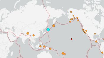 Le Japon est secoué par un nouveau tremblement de terre, provoquant un tsunami de 1 mètre à haute altitude à Hokkaido