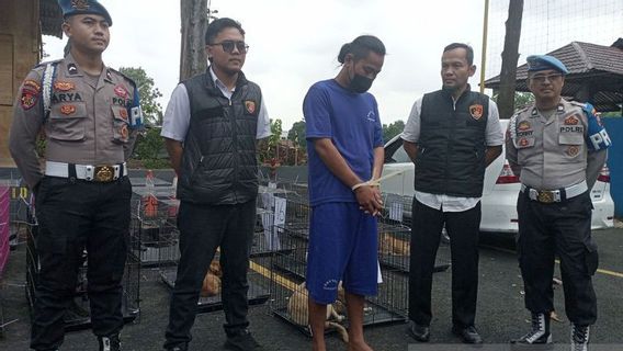 Polresta Banyumas Tetapkan 1 Warga Garut Tersangka Kasus Pengiriman 31 Anjing untuk Konsumsi 