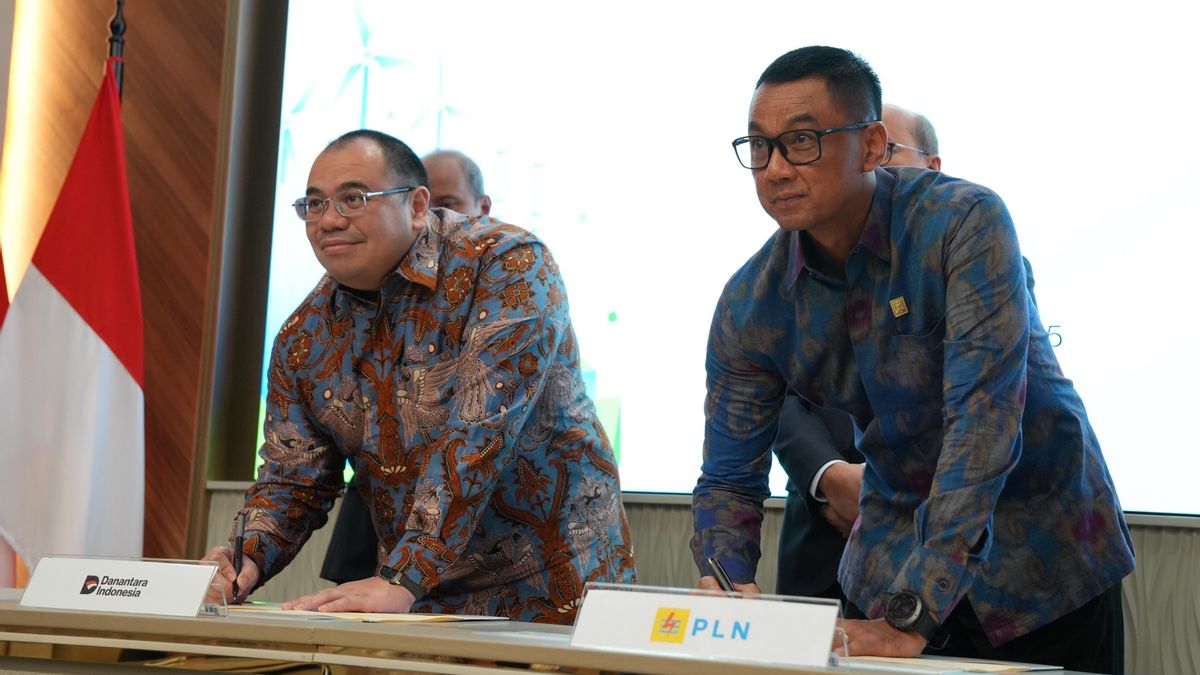 Danantara Bakal Suntik Dana ke Proyek Pembangkit EBT PLN