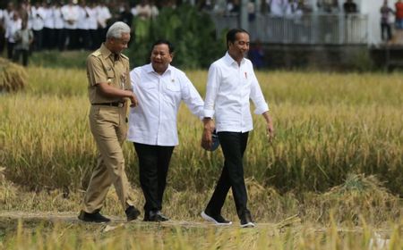 Jokowi Bicara soal Panen Raya Bareng Prabowo dan Ganjar di Kebumen