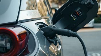 Pacu Adoption Of Domestic Electric Vehicles, Government Spreads Tax Incentives