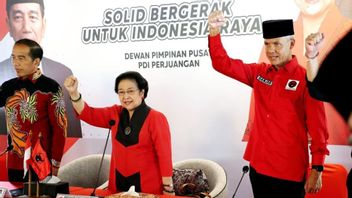 PDIP否认Golkar Megawati向Ridwan Kamil提出副总统席位的说法,Said Abdullah:不是典型的Ketum夫人
