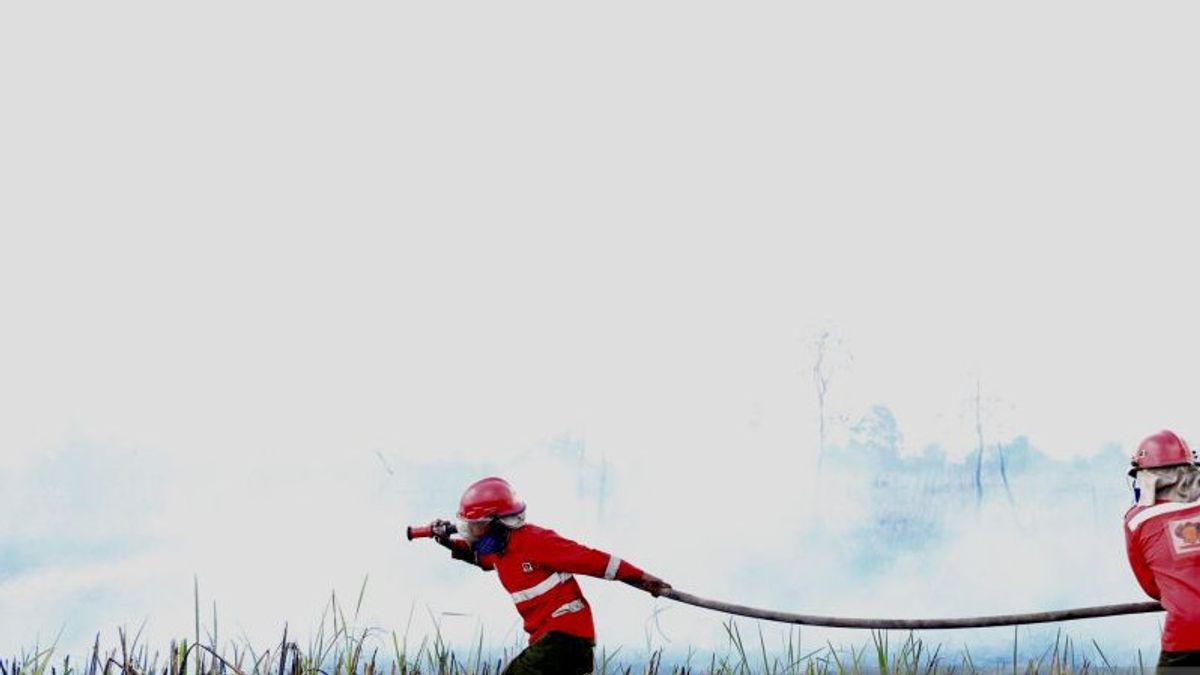 Despite Mixed Karhutla Smoke, DLH Claims Air In Bengkulu Is Still Normal