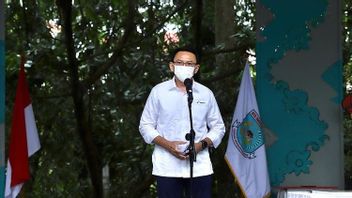 PDIP Bicara Kans Ahok Maju Lagi di Pilgub DKI: Dia Ingin Mengajar Kader di Seluruh Pelosok Indonesia