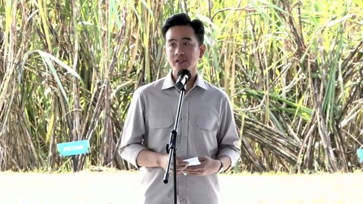 Functionally, Assignment Of Gibran Rakabuming Raka Managing Papua Is Not Necessary