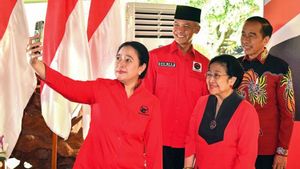 Megawati Heran di-<i>Bully</i> Karena Sebut Jokowi Petugas Partai PDIP