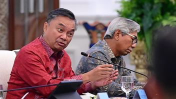Dino Patti: Board of Peace is the Only Option, High Risk of Failure