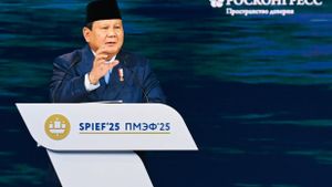 Prabowo Subianto In Russia: Indonesia Wants Collaboration Not To Seek Help