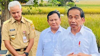 Apparently Jokowi Wants Prabowo To Understand Farmers' Problems Directly On The Field
