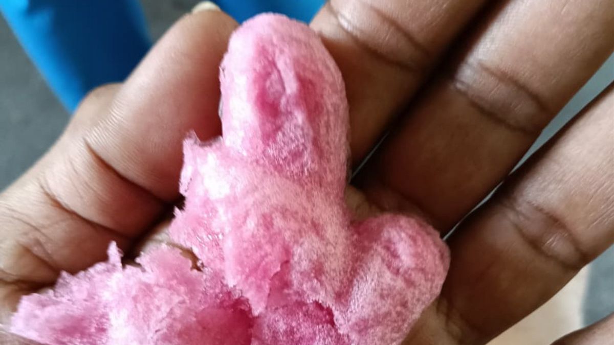 Heboh Es Kue Disebut dari Spon di Jakpus, Hasil Uji Polisi: Aman Dikonsumsi