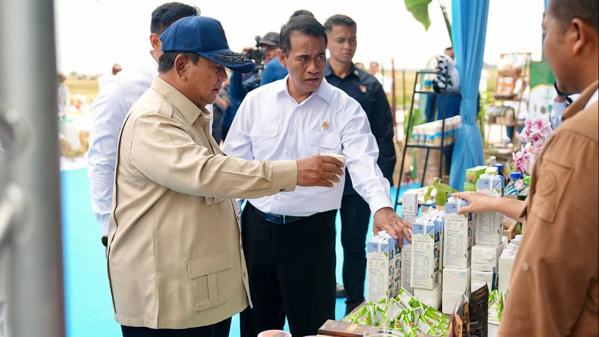 Swasembada Beras Bukan Sekadar Seremoni, Melihat Panen Raya Karawang yang Dikelola Pemerintah