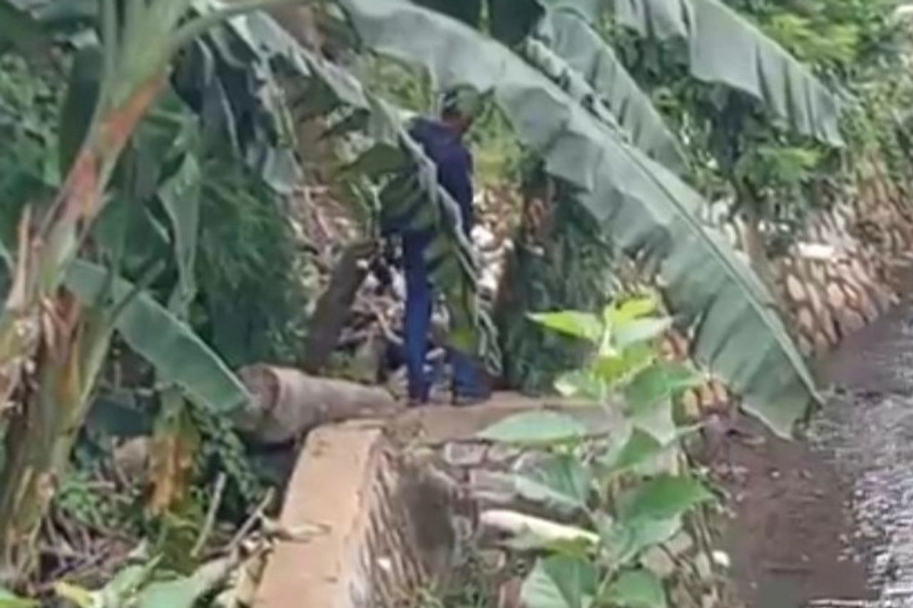 Pelajar SMP Pelaku Pencabulan Murid TK di Pinggir Kali Cipinang Mengaku  Kecanduan Film Porno