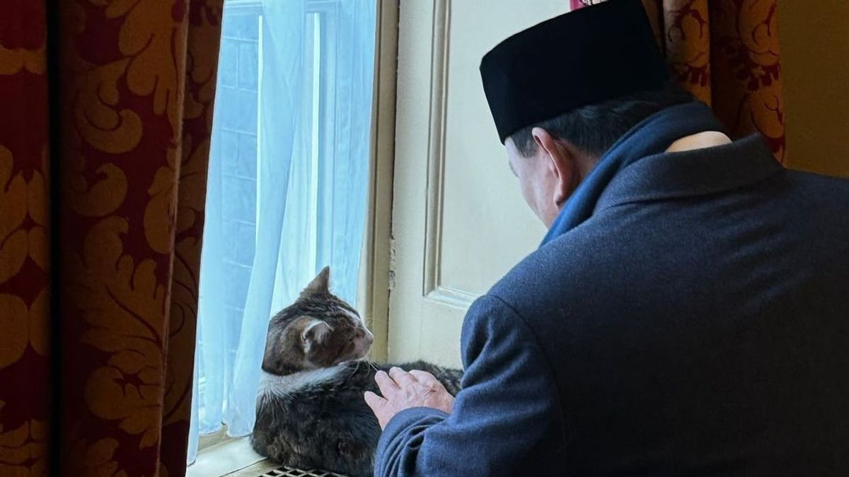 <i>Gemesnya</i>...Momen Prabowo Subianto Elus-elus 'Larry the Cat' Bos Pengendali Tikus di Downing Street 10