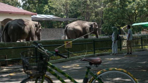 快乐洛卡动物园拒绝数以百计的游客在一天，因为12岁以下的儿童