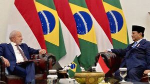 Bertemu Lula da Silva di Istana Jakarta, Prabowo Akui Kagumi Kebijakan Presiden Brazil