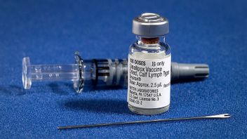 天然痘の流行にワクチンパスポートが適用される場合:COVID-19の前の期間