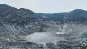 Aktivitas Gunung Tangkuban Parahu Sempat Naik Pekan Ini