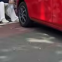 Viral Ban Mobil Digembosi Petugas Dishub di Monas, Pengamat: Dishub Bisa Digugat