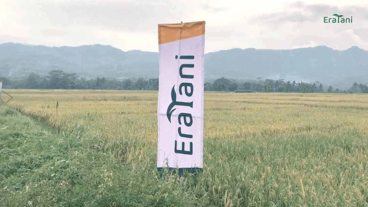 شركة Agritech الناشئة Eratani تحصل على أموال جديدة بقيمة 23 مليار روبية إندونيسية