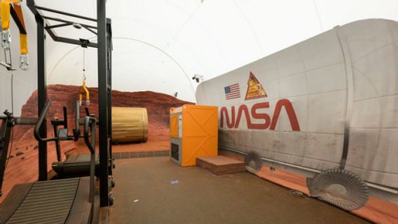 Four Crews On Fake Mars Start Planting Food Ingredients, Ready To Make Salads In Space!