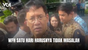 Menkeu Purbaya Yudhi Sadewa Terkait WFH, Satu Hari Tidak Masalah