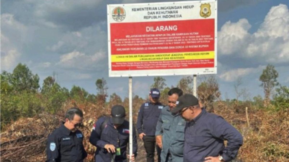 KLHK segel 15 hectares de terres hpk dans le village de Karya Indah Riau qui ont pris feu