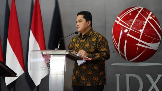 Apakah Ada Perusahaan BUMN Bakal IPO dalam Waktu Dekat? Ini Bocoran dari Erick Thohir