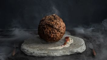 This Meatball In The Netherlands Made From Cultivated Meat With DNA, Can It Be Eaten?