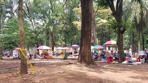 Visiteurs viraux du parc de Margasatwa Ragunan Pasar dimanche tombé dans des branches d’arbres
