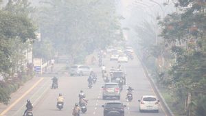 BNPB Ingatkan Potensi Karhutla Mulai Muncul di Sejumlah Wilayah