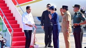Bertolak ke Jawa Tengah, Jokowi Tanam Padi hingga Resmikan Terminal
