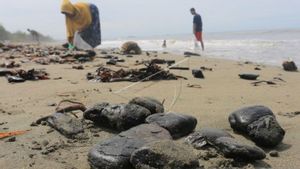 DLHK Aceh Barat Telusuri Tumpahan 5 Ton Batu Bara di Pesisir Pantai Meureubo
