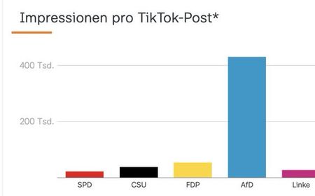 TikTok Dituduh Mempromosikan Partai Ekstrem Kanan Jerman kepada Pemilih Muda Menjelang Pemilu UE