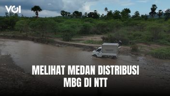 رؤية ميدان توزيع MBG في NTT