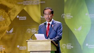 Di B20 Summit, Jokowi Ajak Australia Produksi Baterai Mobil Listrik di Indonesia