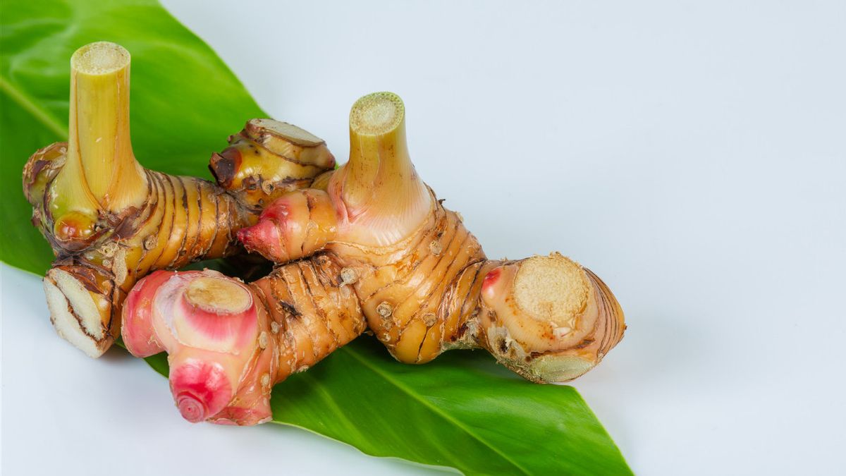 5 Lengkuas Benefits For Health, Good For Fertility And Prevent Infection