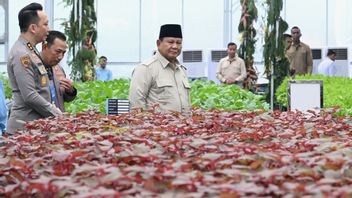 Presiden Prabowo Tinjau Langsung SPPG Polri Palmerah, Pastikan Kesiapan Program Gizi Nasional