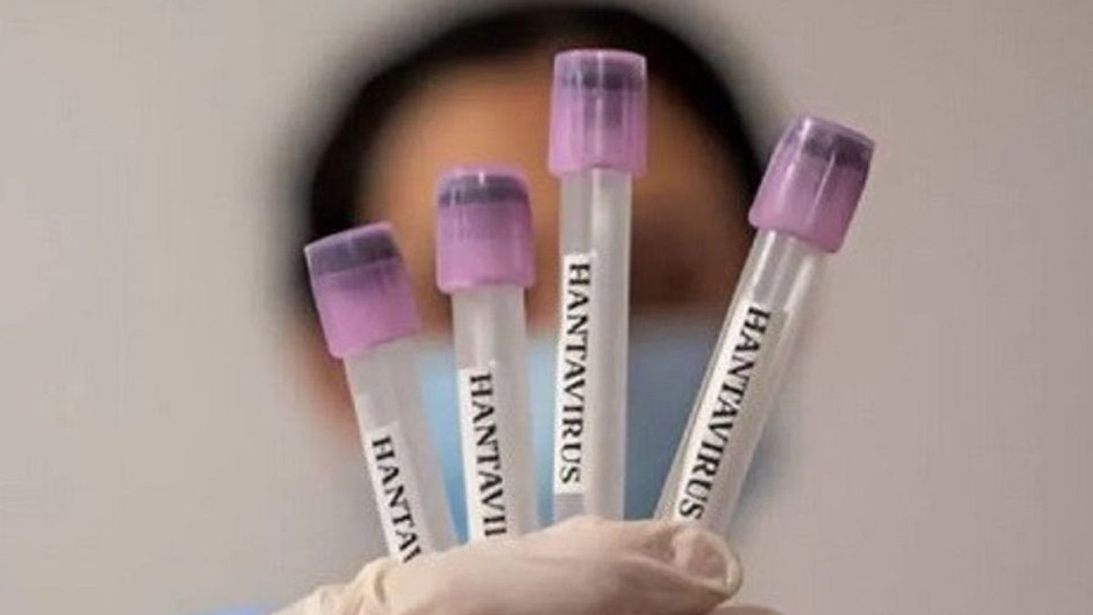 Seorang Warga Jawa Timur Positif Hantavirus sejak Januari 2026