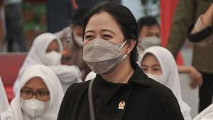 Jelang Akhir Tahun, Ketua DPR Puan Maharani Wanti-wanti Jangan Sampai Kasus COVID-19 Melonjak Lagi