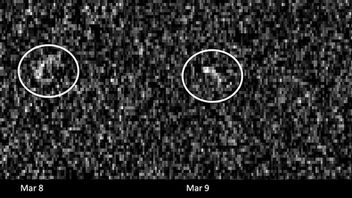 OSIRIS-APEXが小惑星アポフィスを研究するためのミッションに戻る
