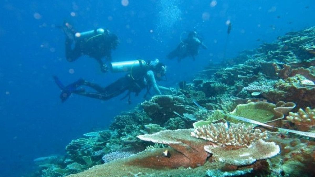 KKP الأبحاث الأثرية البحرية لتحسين السياحة البحرية تيدور