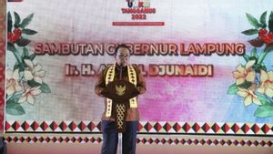 Punya 192.234 UMKM, Lampung Perkuat Digitalisasi untuk Memperluas Akses Pasar