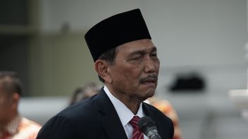 Luhut Asks The Governor Of North Sumatra To Support Digital Literacy MSMEs