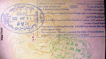 UEA Meluncurkan Visa Spesialis AI dan Memperluas Izin Kemanusiaan