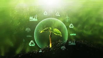 Ekonomi RI Tumbuh 5,61 Persen di Kuartal I-2026