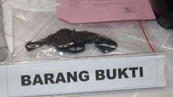 The Firearms Used By The Two Robbers In Kebon Jeruk Turned Out To Be Toys, Belonging To The Suspect's Nephew