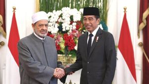 Presiden dan Grand Syekh Diskusikan Inisiatif Global untuk Perdamaian