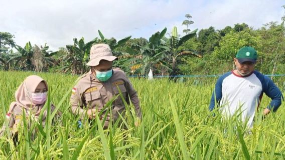 塔拉坎农业检疫的目标是15 OPTK监测多个地区